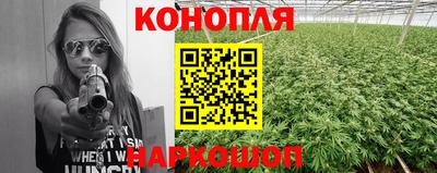 хмурый Гудермес
