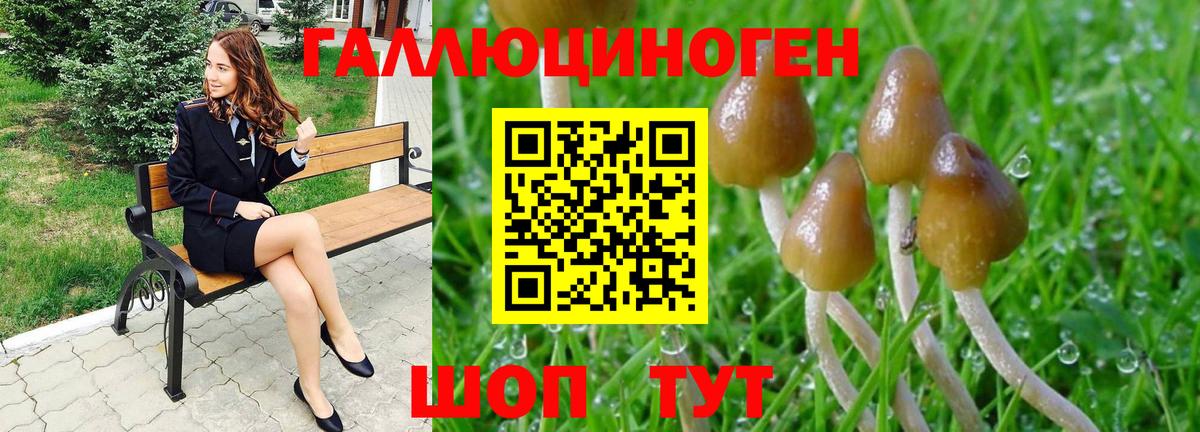Псилоцибиновые грибы Psilocybe  купить закладку  Вход с VPN  Саратов  Галлюциногенные грибы GOLDEN TEACHER 