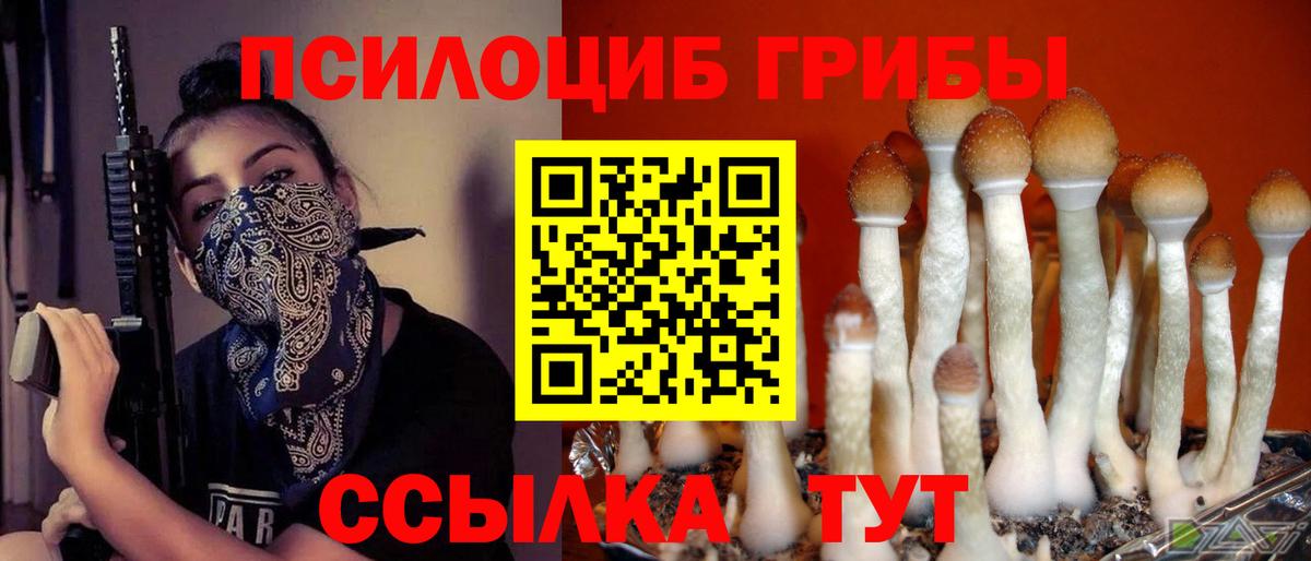 Псилоцибиновые грибы ЛСД Саратов